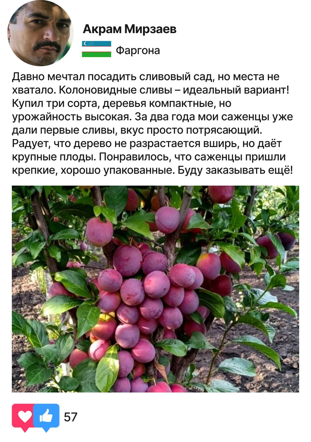 Заголовок